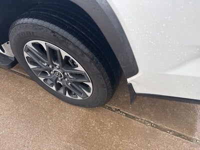 2024 Toyota Sequoia SR5