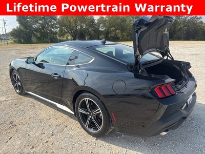 2024 Ford Mustang EcoBoost